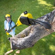 Best Commercial Tree Services  in Elwood, UT